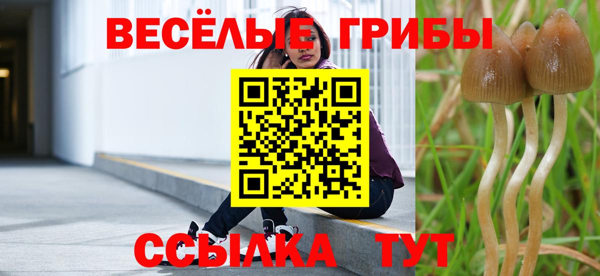 Псилоцибиновые грибы Magic Shrooms  Вход с VPN  купить наркотики сайты  Сосновоборск 